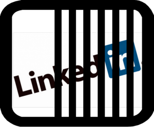 linkedin-jail-1024x845-e1412612775666